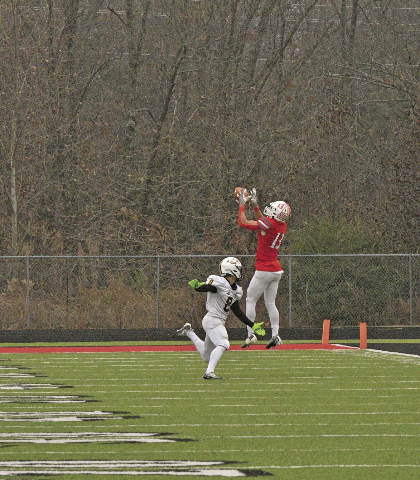 Reeds Spring James Dowdyjpg